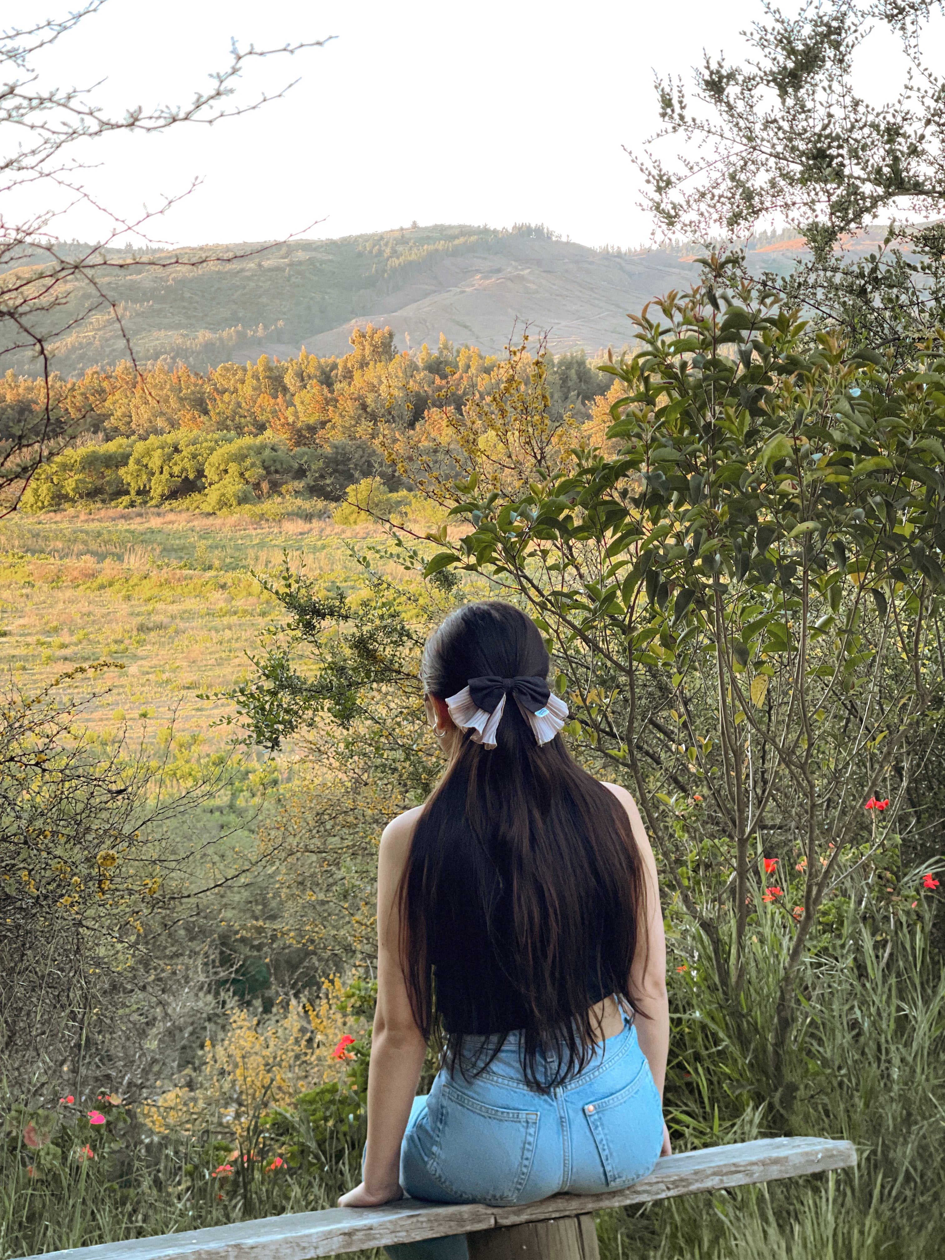 Lazo Mariposa Ébano